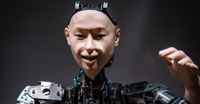 Şangay, Dünyanın İlk İnsansı Robot Eğitim Üssünü Açtı